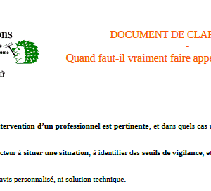 Document PDF – Quand faut-il vraiment faire appel à un professionnel ?